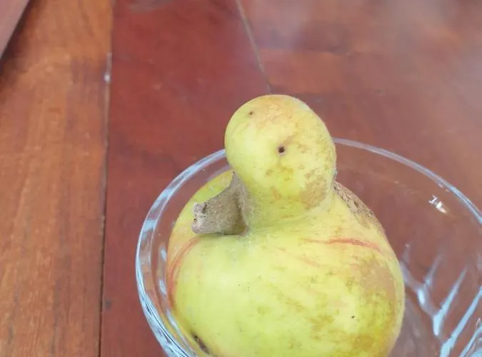 Ferme Du Moulin De Paillères Casa vacanze Galapian