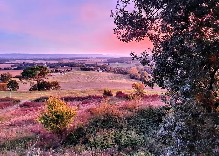 Ferme Du Moulin De Paillères Galapian